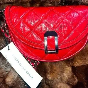 Aimee Kestenberg Your’e A Star Crossbody NWT
